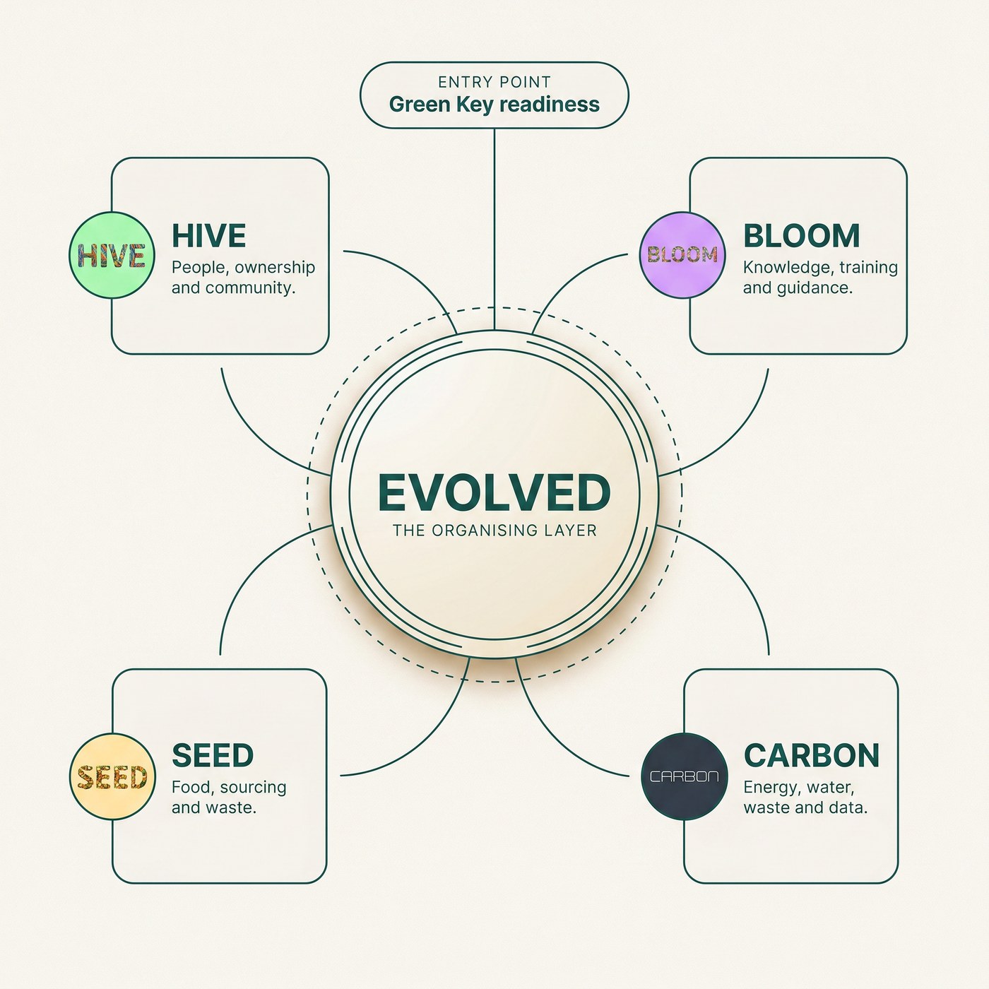 EVOLVED ecosystem diagram. Green Key readiness is the entry point at the top. EVOLVED is the central organising layer. HIVE, BLOOM, SEED and CARBON are four connected pillars: people and community, knowledge and training, food and sourcing, and energy and resources.